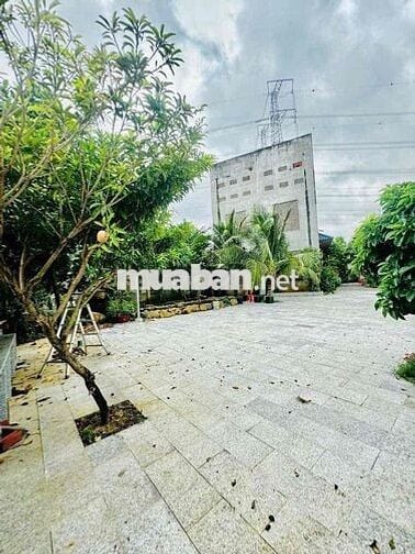 Cho Thuê Nhà Vườn Sinh Thái - View Sông Tuyệt Đẹp- Bình Hoà - Vĩnh Cửu