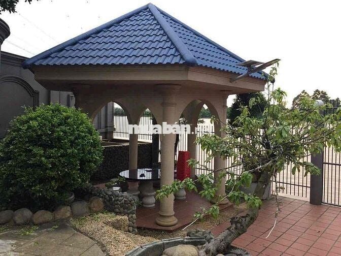 Cho Thuê Nhà Vườn Sinh Thái - View Sông Tuyệt Đẹp- Bình Hoà - Vĩnh Cửu