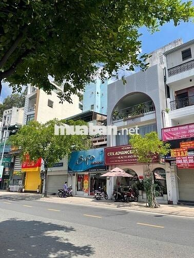 Cho thuê nhà 219P Phạm Viết Chánh - Hoa Hồng ACE Sale