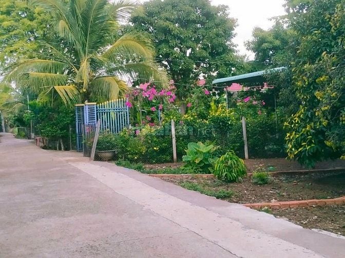 đất thổ cư,sổ hồng riêng,thành phố đồng nai