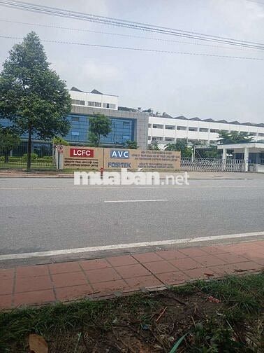 việc làm chính thức đi làm ngay