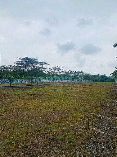 Chủ nhà cần thu hồi vốn gấp, quyết định giảm giá lô đất đẹp...