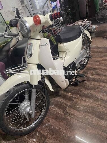 Honda Cub 50cc Xe Rất Đẹp Nguyên Zin Chính Chủ Ạ
