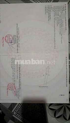 BÁN ĐẤT MT FULL THỔ CƯ ĐINH ĐỨC THUẬN (ẤP RỪNG SẾN), XÃ MỸ HẠNH BẮC, H