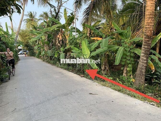 ĐẤT NỀN THỔ CƯ THÍCH HỢP NHÀ VƯỜN