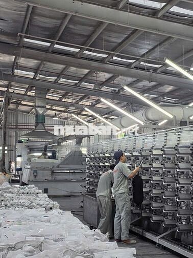 Nhân viên Kế hoạch sản xuất