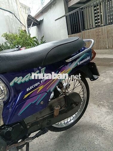 Kawasaki Max II 2023 Tím Trắng Nhật