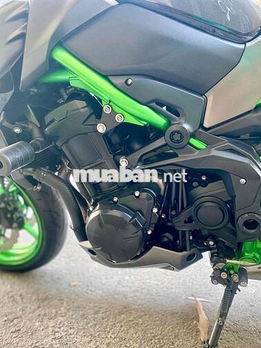 Kawasaki Z900 2023