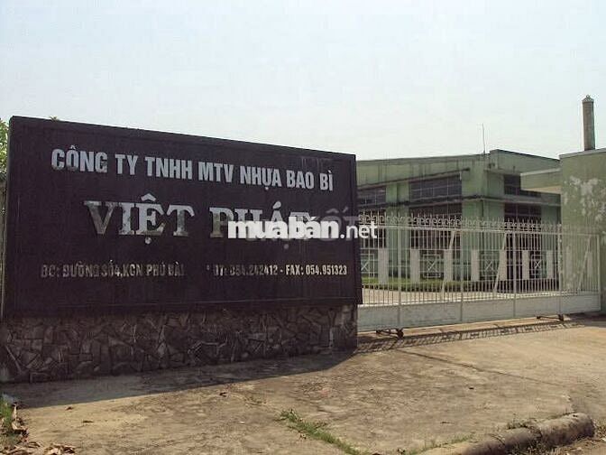 Nhân viên Kế hoạch sản xuất