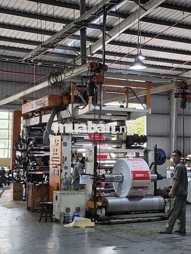 Nhân viên Kế hoạch sản xuất