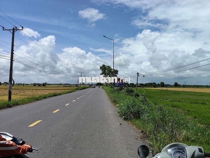 nhà xưởng 60x180m đường an thạnh
