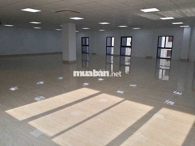 TOÀ NHÀ VĂN PHÒNG GÓC 2 MT NGANG 20M ĐƯỜNG LAM SƠN TÂN BÌNH