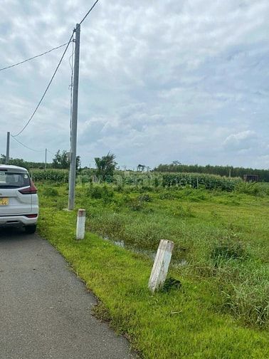 Công ty Đấu giá hợp danh Lam Sơn Sài Gòn THÔNG BÁO ĐẤU GIÁ TÀI SẢN