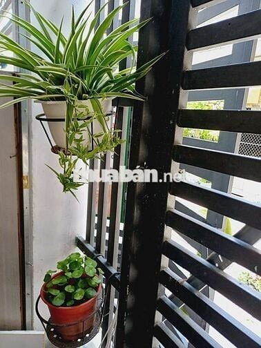 Mặt bằng kinh doanh có gác ở lại, wc máy lạnh, máy giặt tủ lạnht 