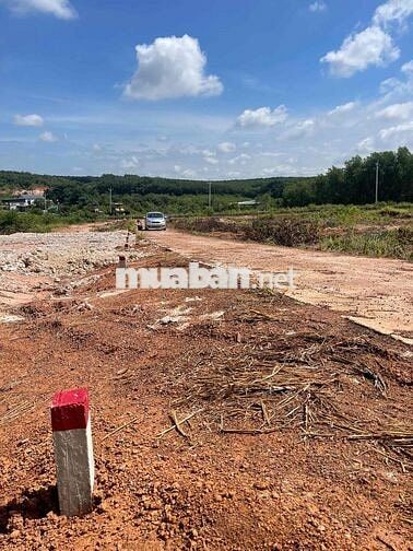 Đường bê tông cách tuyến 4 30m, 350m2, gần KCN Becamex, gần nhà máy