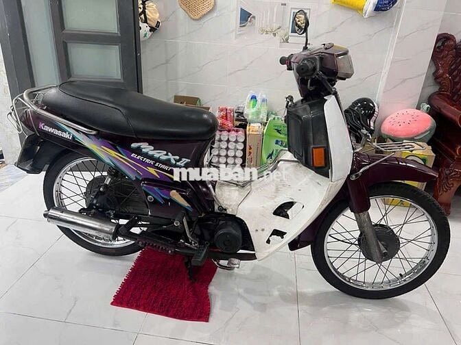Kawasaki Max