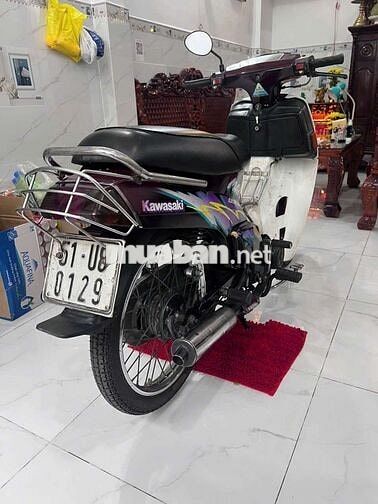 Kawasaki Max