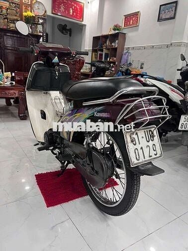 Kawasaki Max