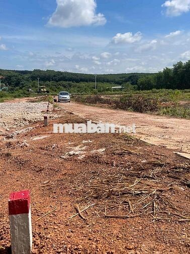 Đường bê tông cách tuyến 4 30m, 350m2, gần KCN Becamex, gần nhà máy