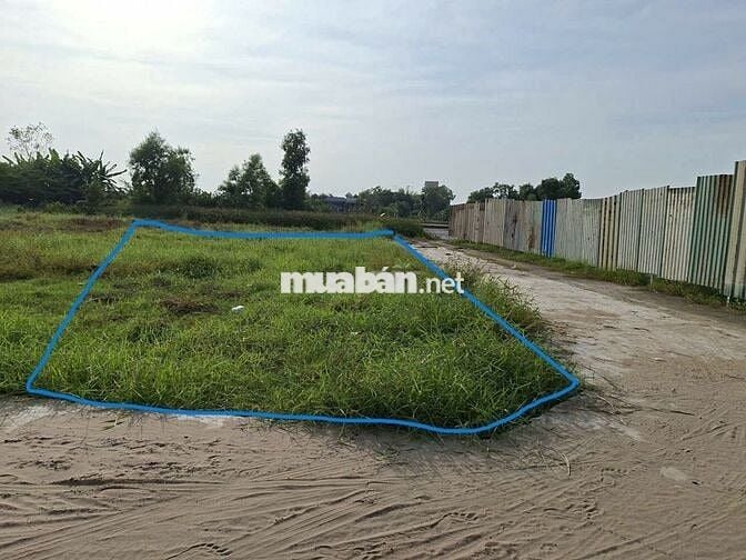 CHÍNH CHỦ BÁN ĐẤT THỔ CƯ XÃ LONG CANG – CẦN ĐƯỚC, LONG AN