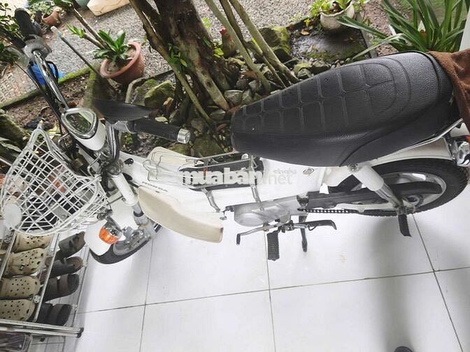 Honda Chaly 1992 Trắng