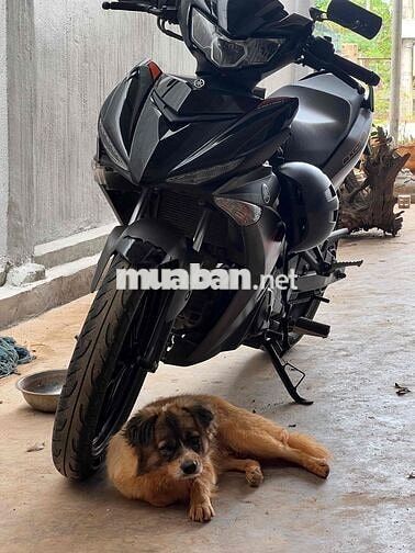 Yamaha Exciter 2022 đèn led Đen cam 6666.6 km