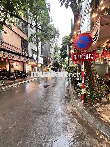 Cho thuê cửa hàng phố Nguyên Hồng, Đống Đa, phố ô tô, mặt tiền 6m, 20m
