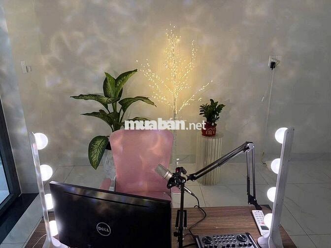 [KO CẦN KN] IDOL LIVESTREAM TIKTOK QUẬN 7