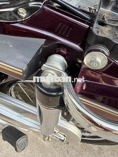 Honda Super Dream 2012 zin Cọp