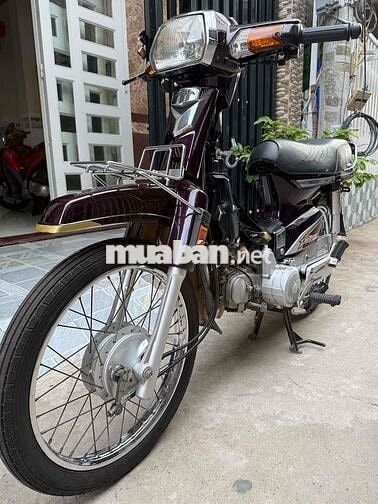 Honda Super Dream 2012 zin Cọp