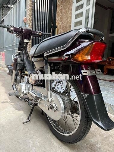Honda Super Dream 2012 zin Cọp