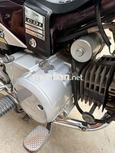 Honda Super Dream 2012 zin Cọp