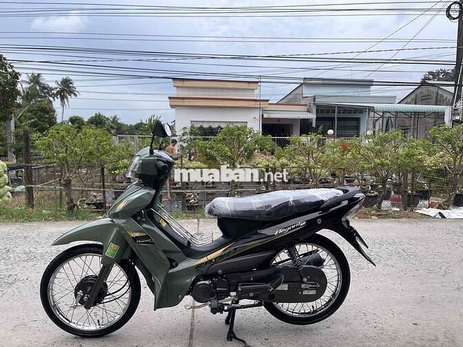 SYM Elegant 50cc 2026 Xanh rêu 300 km