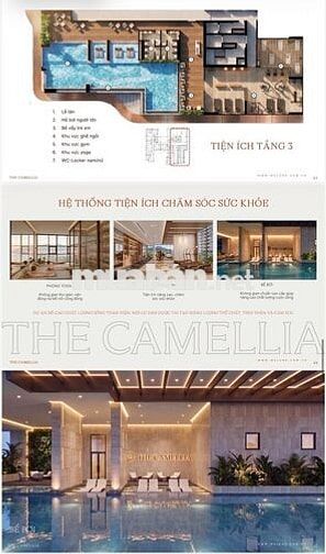 Căn hộ cao cấp The Camellia giá chỉ từ 1,98 tỷ
