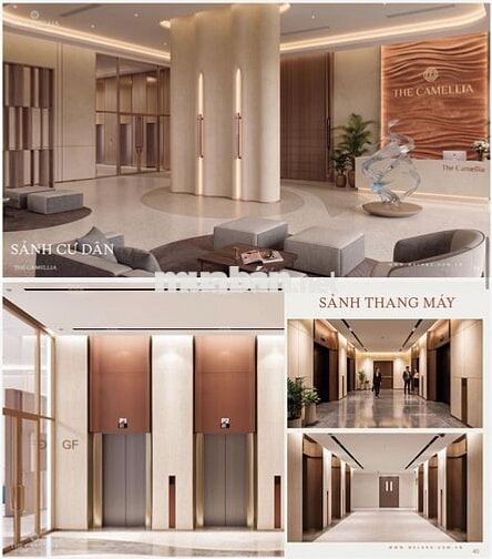 Căn hộ cao cấp The Camellia giá chỉ từ 1,98 tỷ