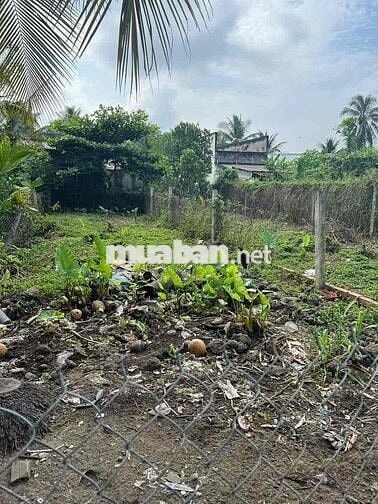 Cần bán thửa đất diện tích 100m2 (5 x 20), thổ cư 70m2 phường Mỹ Phong