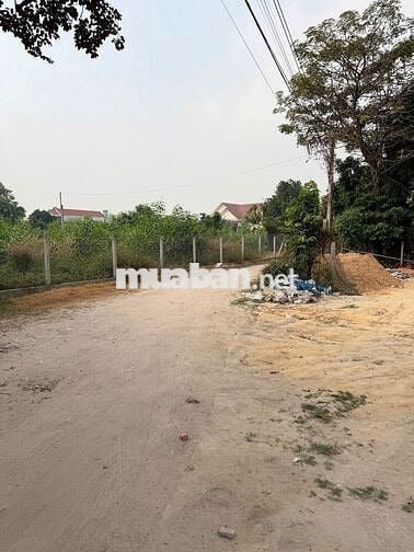 CHO THUÊ XƯỞNG 500M2 KINH DOANH ĐA NGÀNH KCN ĐẠI ĐĂNG