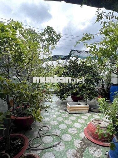 Cho Thuê Nhà DT 5x23m 1Trệt 1Lầu 3Pn 3Wc Sân Ôtô 7 Chổ Đường Thông Tải