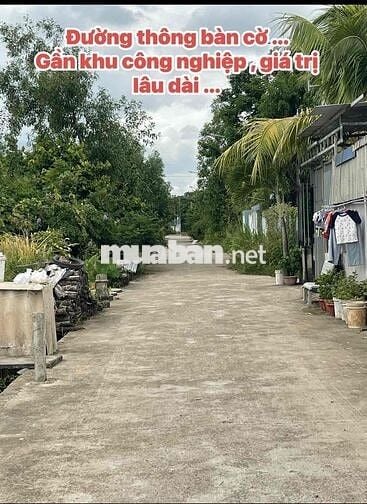 Bán đất Đường 29- Thôn Tân Lễ - Châu Pha - Ngay uỷ ban Châu Pha