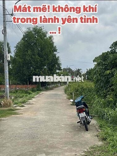 Bán đất Đường 29- Thôn Tân Lễ - Châu Pha - Ngay uỷ ban Châu Pha