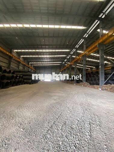 Cần Cho Thuê Xưởng Có 4 Cẩu Trục 25 Tấn Trong Khu Công Nghiệp Mỹ Xuân