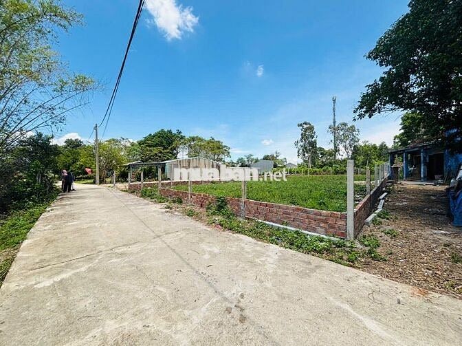 🔥 ĐÓN SÓNG ĐIỆN BÀN BẮC – SỞ HỮU NGAY 600M² ĐẤT Ở CHỈ HƠN 6 TRIỆU/M²
