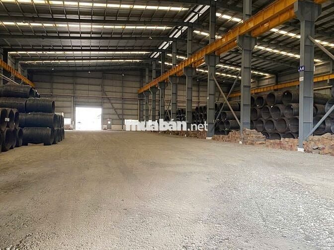Cần Cho Thuê Xưởng Có 4 Cẩu Trục 25 Tấn Trong Khu Công Nghiệp Mỹ Xuân
