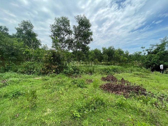   Bán đất khánh nam-khánh vĩnh giá đầu tư siêu rẻ