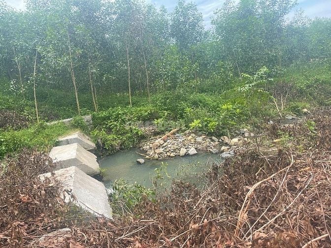   Bán đất khánh nam-khánh vĩnh giá đầu tư siêu rẻ