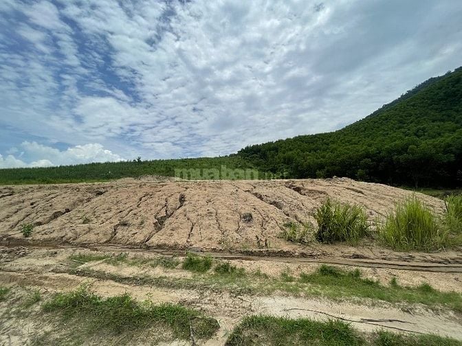   Bán đất khánh nam-khánh vĩnh giá đầu tư siêu rẻ