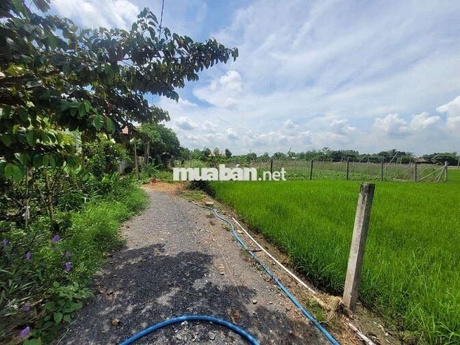 BÁN ĐẤT XÂY BIỆT THỰ VƯỜN 2369M2 GIÁP XÃ HƯNG LONG ,TPHCM