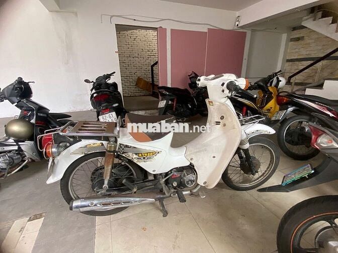 Honda Cub Trắng Số Xăng
