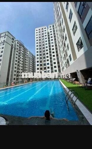 Cho thuê Green River 2 phòng ngủ 2wc giá 11 triệu full nội thất quận 8