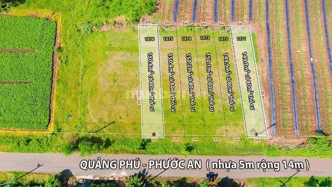 Bán nhanh lô đất 5x30 có sẵn 80m² thổ cư